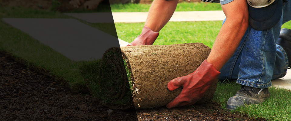 Markesan Landscapers